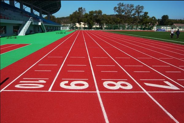 凝心聚力創偉業 勇立潮頭開新局（社論）